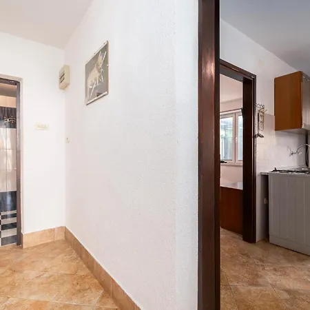 Apartment In With Kitchen Liznjan